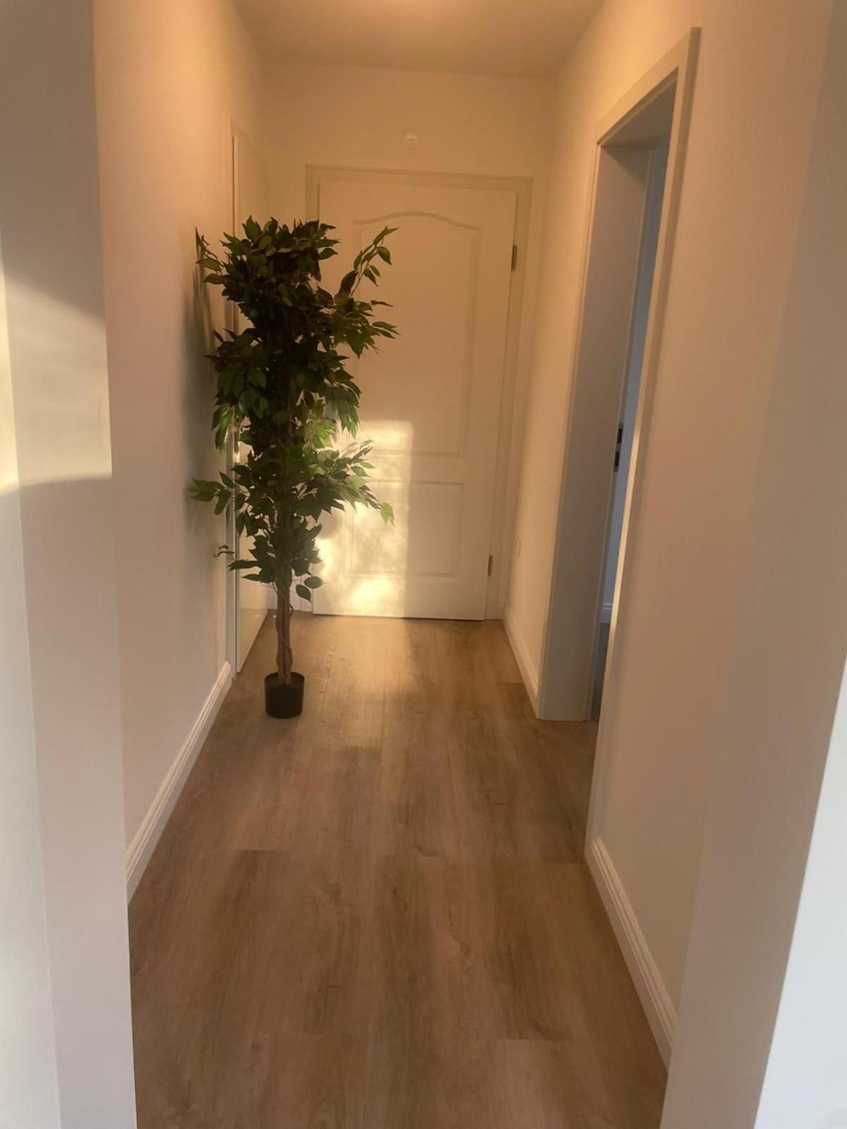 Liro Apartments Oberstrasse Muelheim 鲁尔河畔米尔海姆 外观 照片